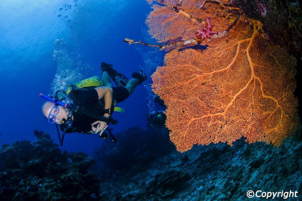 Wechat Inn Patong Zewnętrze zdjęcie